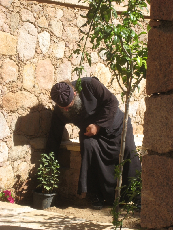 Monk-at-work-Catherina-monastery-Sinaï-desert-of-Egypt